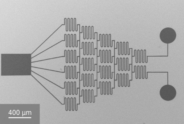 Microfluidic Device 4